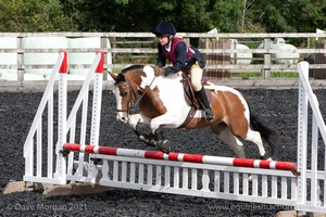 Class 3 -  Fences not above 2'3